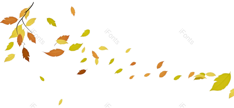 装饰图片,树叶元素,设计元素PNG,漂浮元素免抠素材